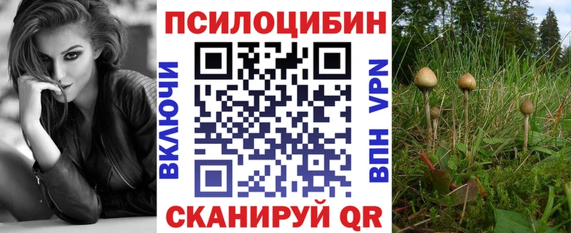 Псилоцибиновые грибы ЛСД  цена   гидра ссылки  Новошахтинск 